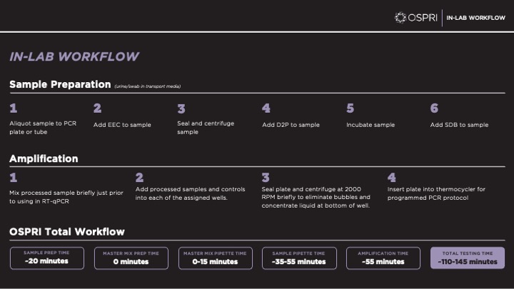 In-lab workflow slide detailing sample preparation, amplification and total testing time