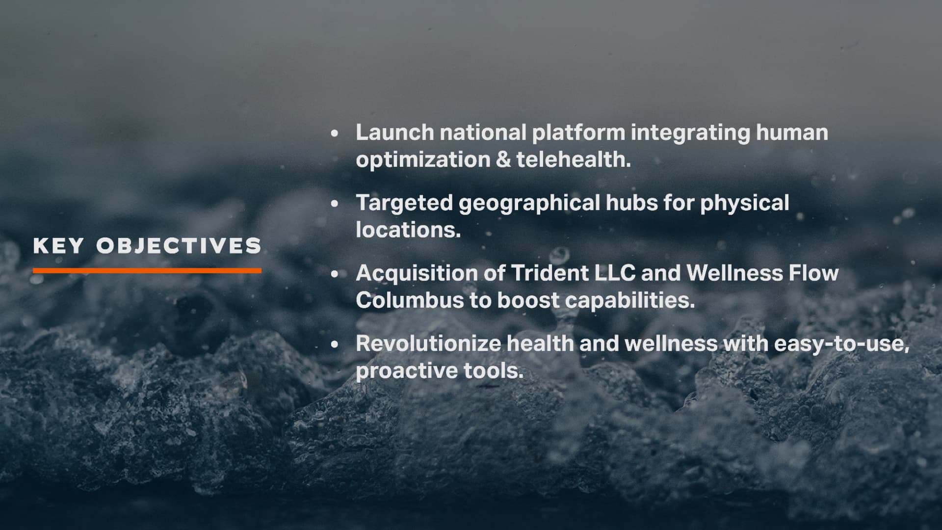 Wellness Flow key objectives slide