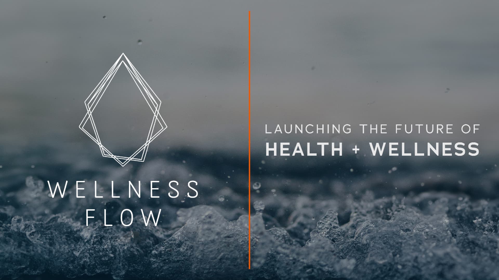 Wellness Flow presentation cover reading launching the future of health and wellness