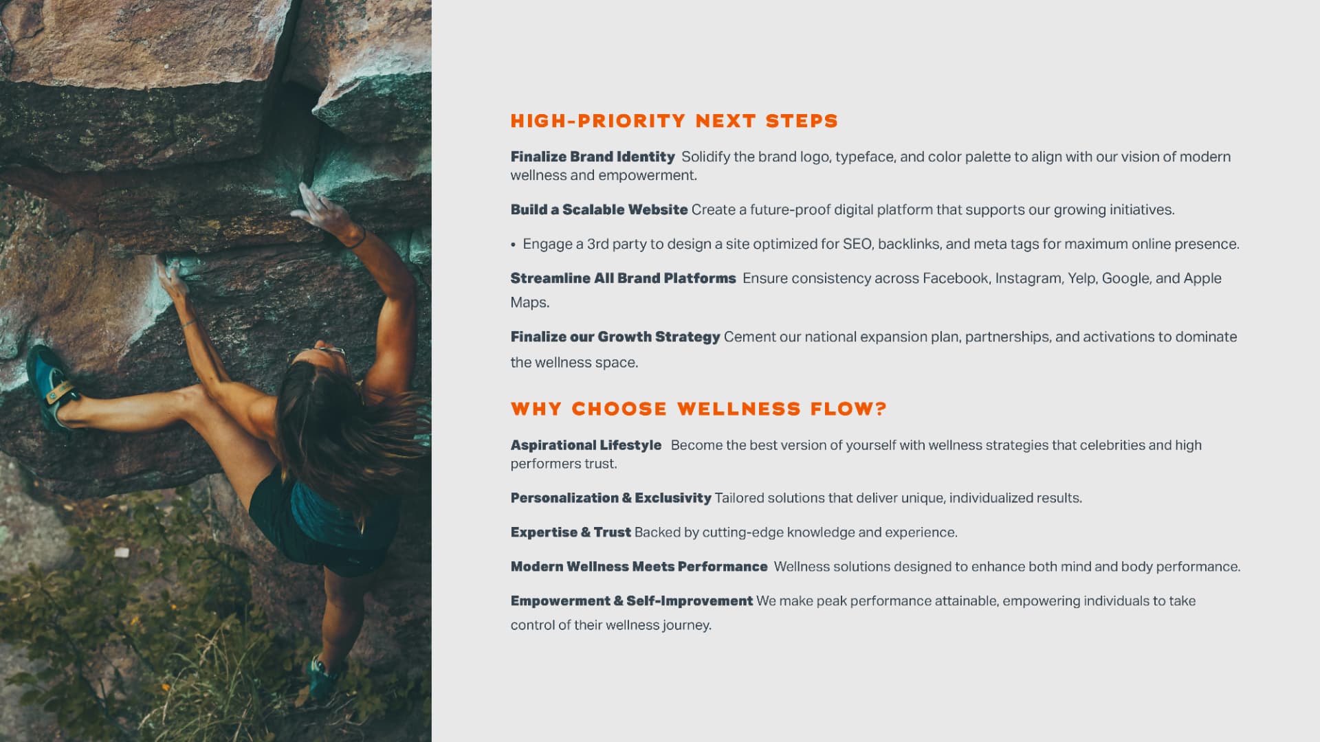 Wellness Flow high-priority next steps and brand positioning summary