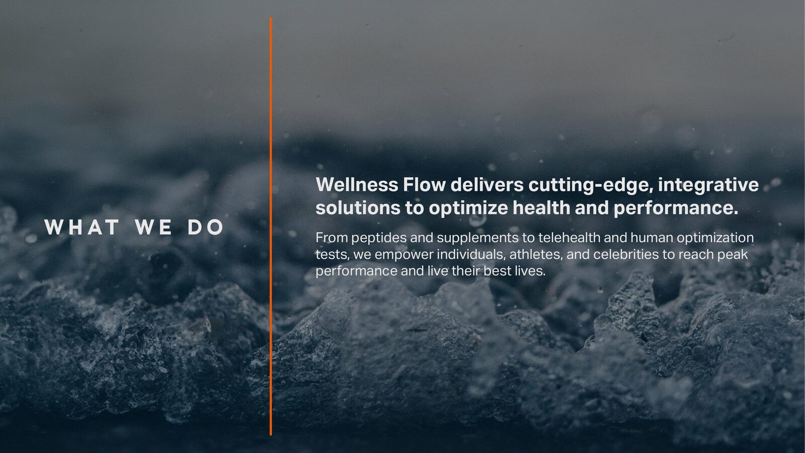 Wellness Flow slide describing the services offered