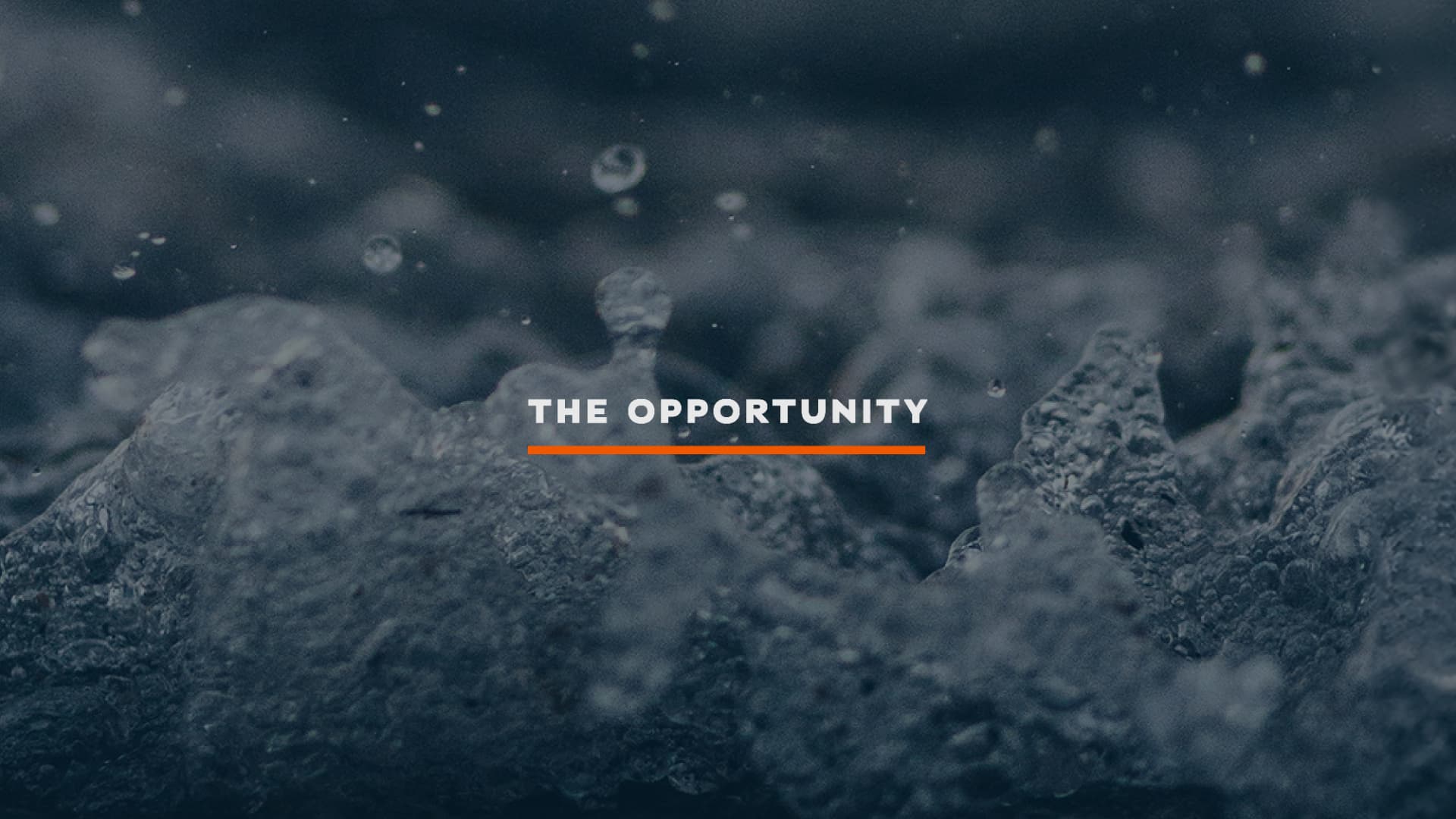 Wellness Flow opportunity section divider