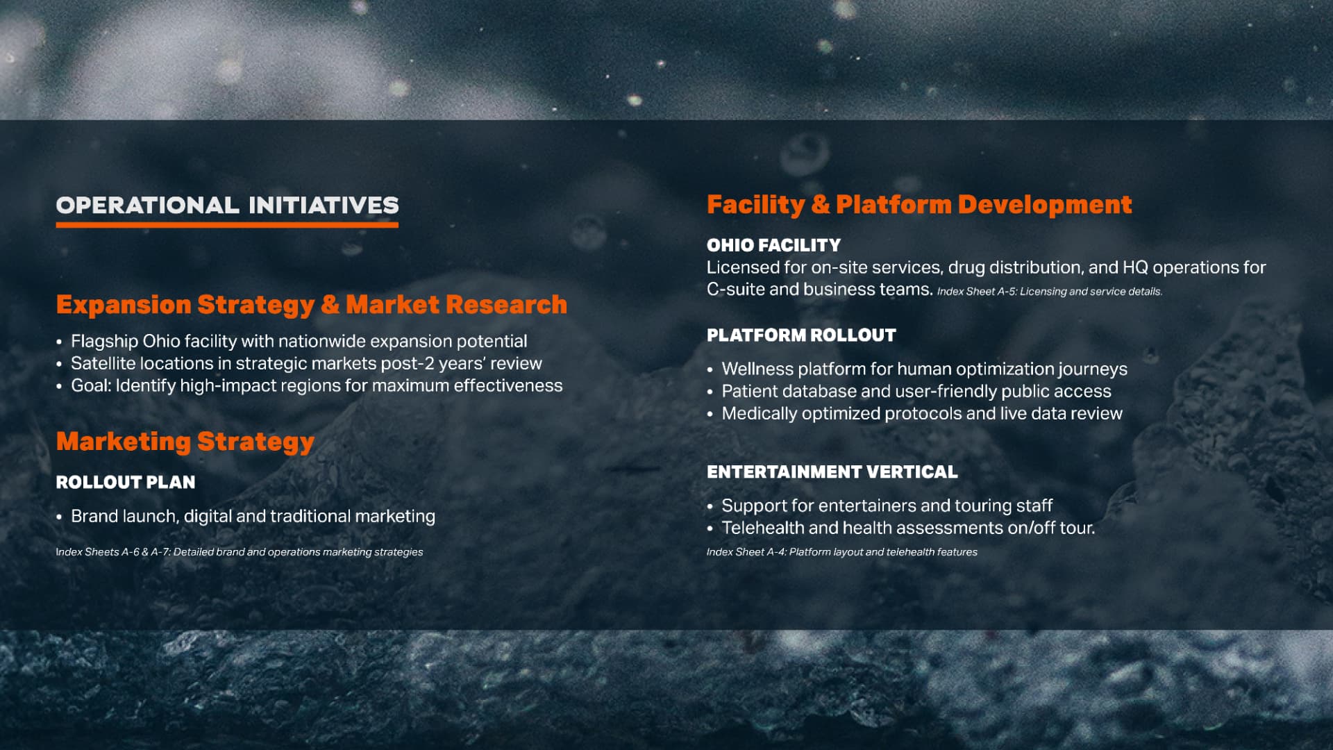 Wellness Flow operational initiatives and marketing strategy slide